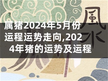 属猪2024年5月份运程运势走向,2024年猪的运势及运程