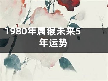 1980年属猴未来5年运势