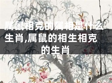 属鼠相克的属相是什么生肖,属鼠的相生相克的生肖