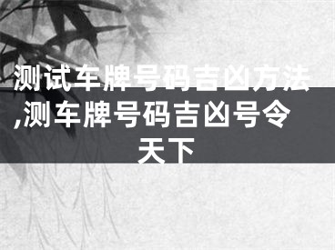 测试车牌号码吉凶方法,测车牌号码吉凶号令天下