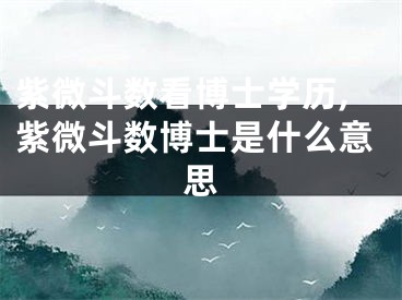 紫微斗数看博士学历,紫微斗数博士是什么意思