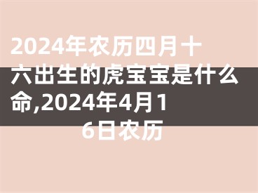 2024年农历四月十六出生的虎宝宝是什么命,2024年4月16日农历