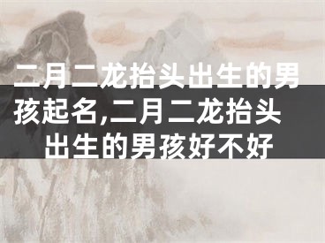 二月二龙抬头出生的男孩起名,二月二龙抬头出生的男孩好不好