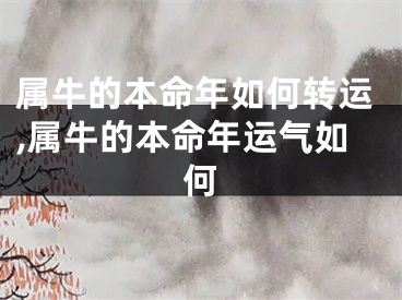 属牛的本命年如何转运,属牛的本命年运气如何