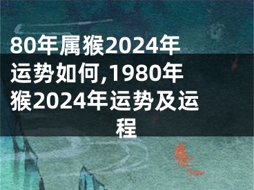 80年属猴2024年运势如何,1980年猴2024年运势及运程