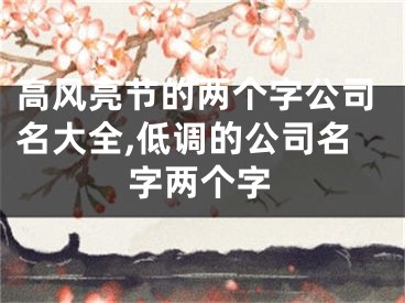 高风亮节的两个字公司名大全,低调的公司名字两个字
