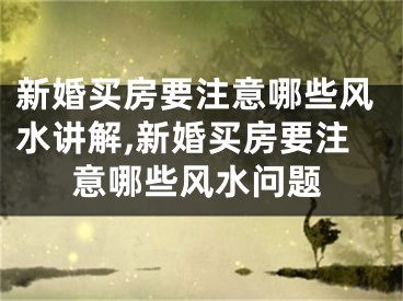 新婚买房要注意哪些风水讲解,新婚买房要注意哪些风水问题