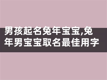 男孩起名兔年宝宝,兔年男宝宝取名最佳用字