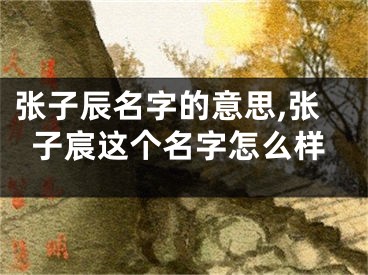张子辰名字的意思,张子宸这个名字怎么样