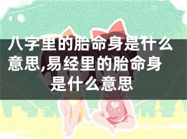 八字里的胎命身是什么意思,易经里的胎命身是什么意思