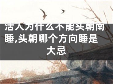 活人为什么不能头朝南睡,头朝哪个方向睡是大忌