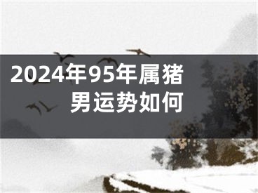 2024年95年属猪男运势如何
