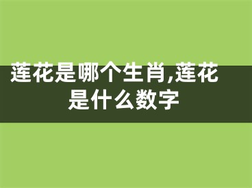 莲花是哪个生肖,莲花是什么数字