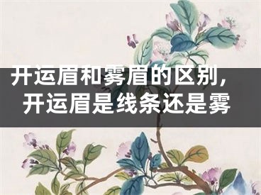 开运眉和雾眉的区别,开运眉是线条还是雾