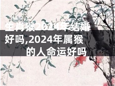 生肖猴2024年结婚好吗,2024年属猴的人命运好吗