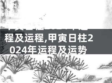 甲寅日柱2024年运程及运程,甲寅日柱2024年运程及运势