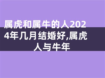 属虎和属牛的人2024年几月结婚好,属虎人与牛年