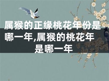 属猴的正缘桃花年份是哪一年,属猴的桃花年是哪一年