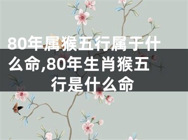 80年属猴五行属于什么命,80年生肖猴五行是什么命