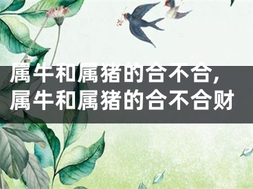 属牛和属猪的合不合,属牛和属猪的合不合财