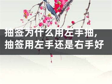 抽签为什么用左手抽,抽签用左手还是右手好
