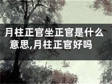 月柱正官坐正官是什么意思,月柱正官好吗