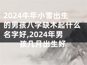 2024牛年小雪出生的男孩八字缺木起什么名字好,2024年男孩几月出生好
