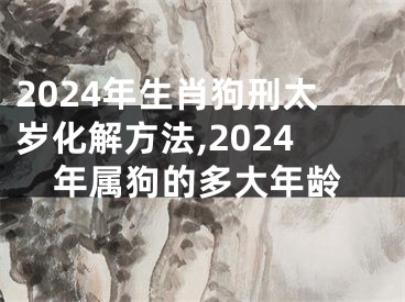 2024年生肖狗刑太岁化解方法,2024年属狗的多大年龄