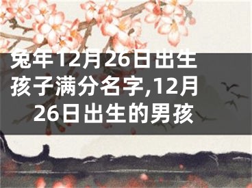 兔年12月26日出生孩子满分名字,12月26日出生的男孩