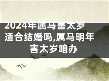2024年属马害太岁适合结婚吗,属马明年害太岁咱办