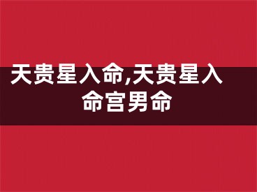 天贵星入命,天贵星入命宫男命