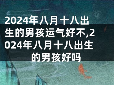 2024年八月十八出生的男孩运气好不,2024年八月十八出生的男孩好吗