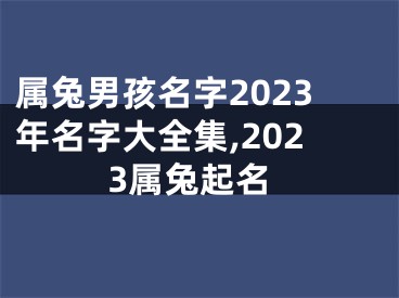 属兔男孩名字2023年名字大全集,2023属兔起名