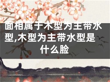 面相属于木型为主带水型,木型为主带水型是什么脸