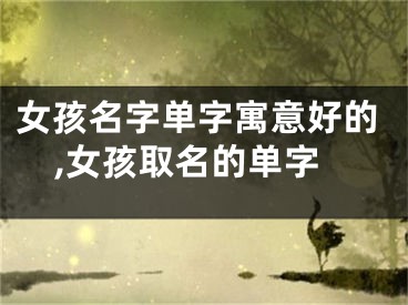 女孩名字单字寓意好的,女孩取名的单字