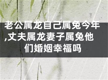 老公属龙自己属兔今年,丈夫属龙妻子属兔他们婚姻幸福吗