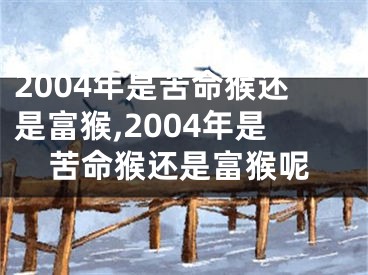 2004年是苦命猴还是富猴,2004年是苦命猴还是富猴呢