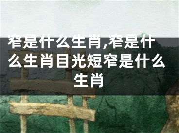 窄是什么生肖,窄是什么生肖目光短窄是什么生肖