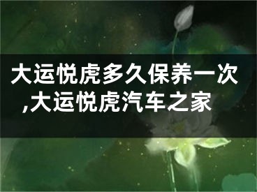 大运悦虎多久保养一次,大运悦虎汽车之家