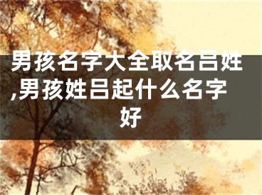 男孩名字大全取名吕姓,男孩姓吕起什么名字好