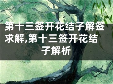 第十三签开花结子解签求解,第十三签开花结子解析