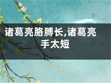 诸葛亮胳膊长,诸葛亮手太短