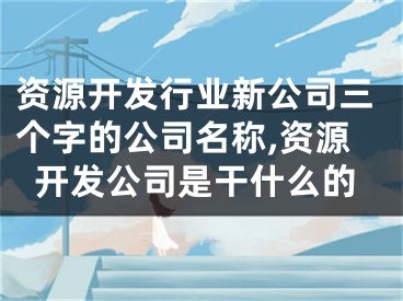 资源开发行业新公司三个字的公司名称,资源开发公司是干什么的