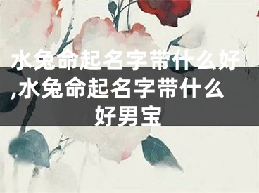 水兔命起名字带什么好,水兔命起名字带什么好男宝
