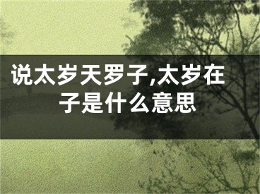 说太岁天罗子,太岁在子是什么意思