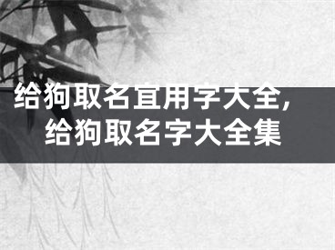 给狗取名宜用字大全,给狗取名字大全集