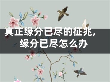 真正缘分已尽的征兆,缘分已尽怎么办