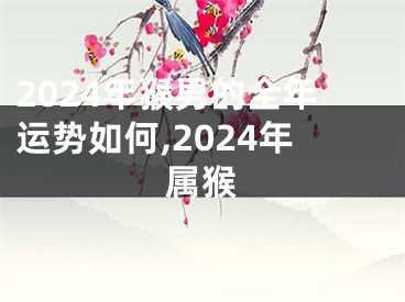 2024年猴男的全年运势如何,2024年属猴