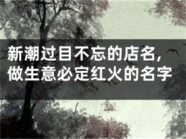 新潮过目不忘的店名,做生意必定红火的名字