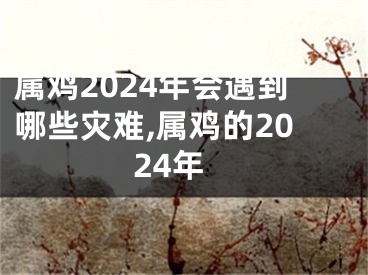 属鸡2024年会遇到哪些灾难,属鸡的2024年